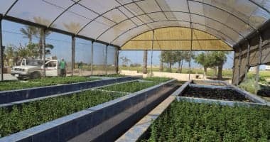 محطة بحوث الصحراء المصرية نموذج ملهم للتنمية الزراعية المستدامة