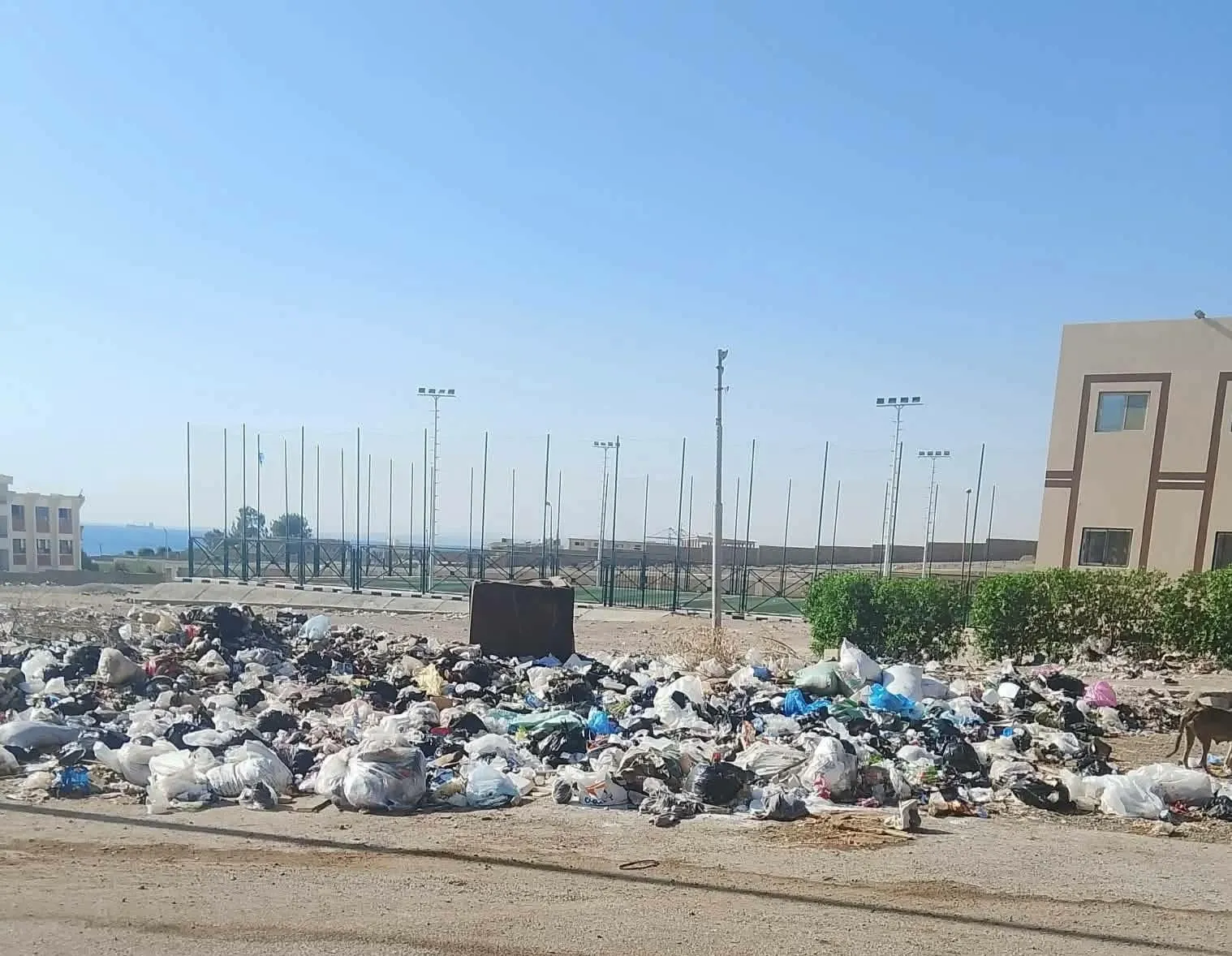سفاجا المصرية تطالب بسرعة ترسية عقد النظافة قبل انطلاق العام الدراسي