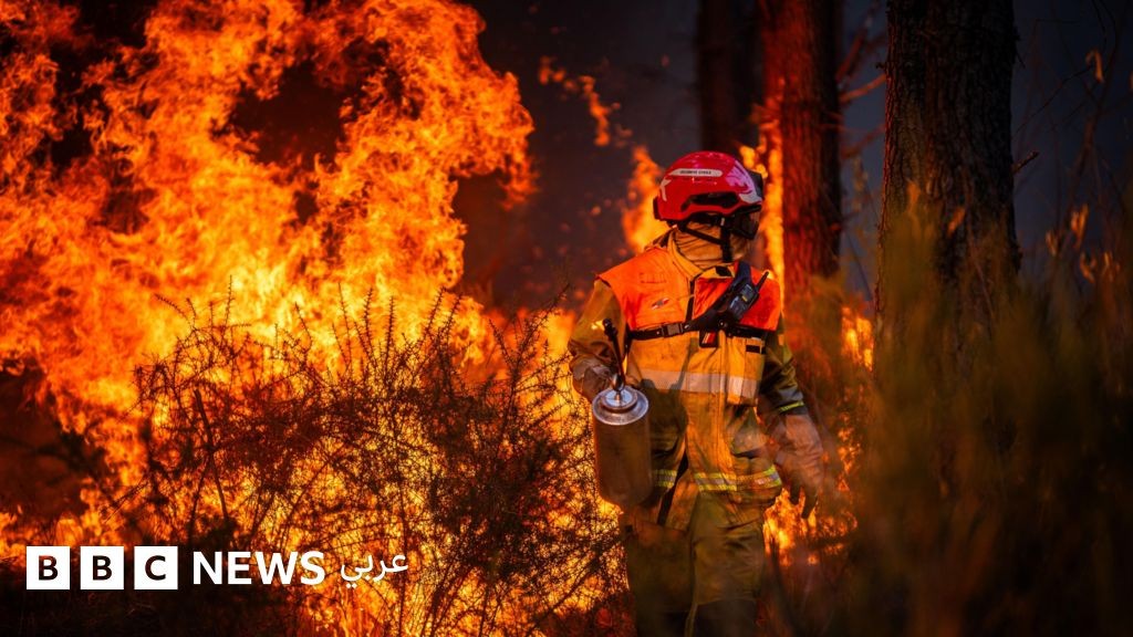 حرائق الغابات في فرنسا: اعتقال المئات ومسؤولية التغير المناخي